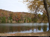 Photo by gnewman | West Portsmouth  water, lake, trees, fall, autumn
